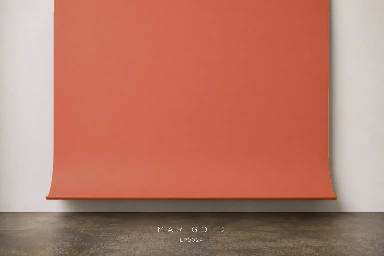 Fondo de papel fotográfico Marigold Manfrotto Lastolite LP9024 Barcelona