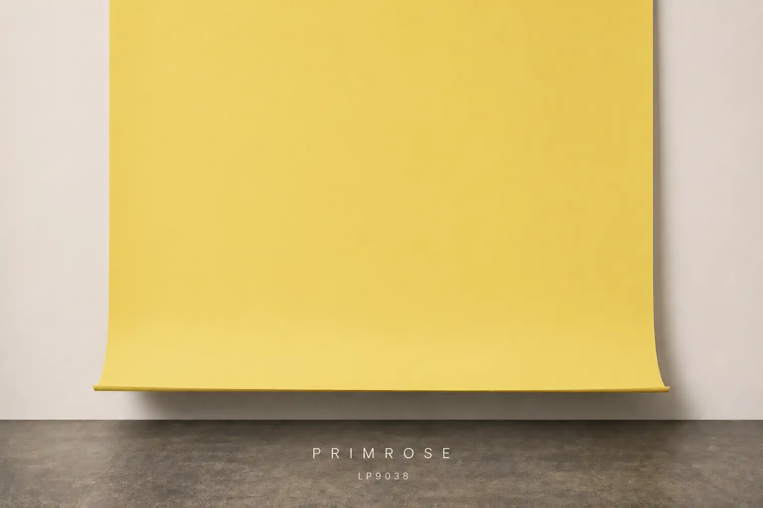 Fondo de papel fotográfico Primrose Manfrotto Lastolite LP9038 Barcelona